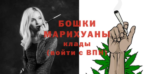 шишки Протвино