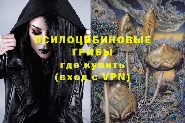 шишки Протвино