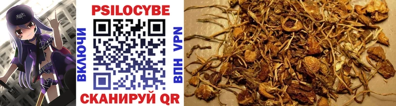 купить Татарск Псилоцибиновые грибы MAGIC MUSHROOMS