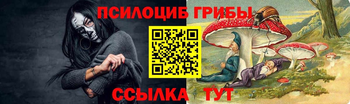Галлюциногенные грибы прущие грибы  Вход с VPN  магазин  наркотиков  Татарск 